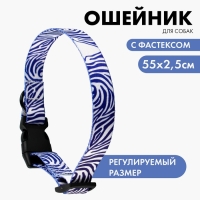 Ошейник &laquo;В гармонии с природой&raquo;, застёжка - фастекс, 2.5 см, 40-55 см