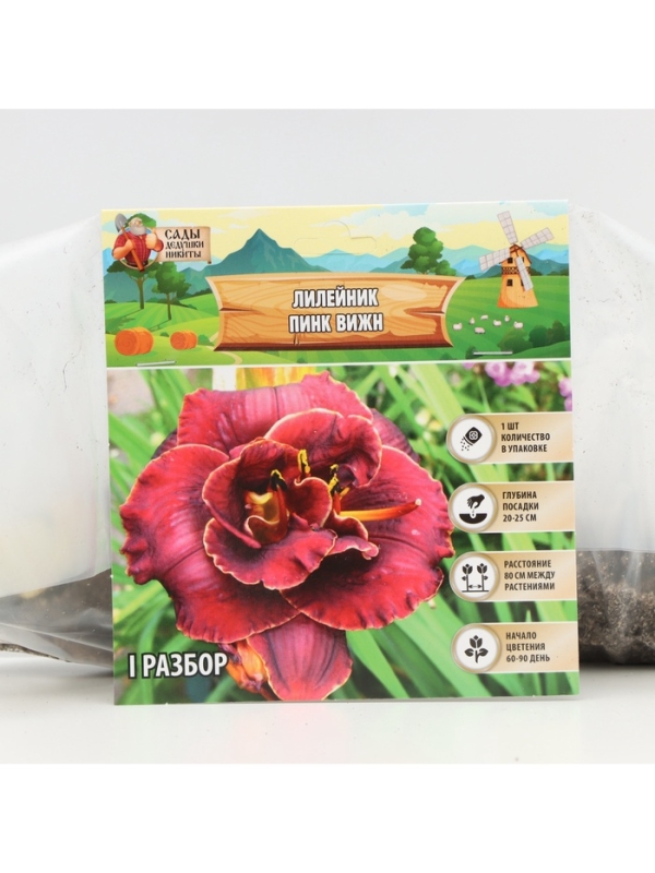Лилейник Pink Vision, многолетник, корневище в пакете с торфогрунтом, р-р I, 1 шт.