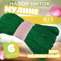 Набор ниток мулине №3818, 8 &plusmn; 1 м, 6 шт, цвет малахитовый