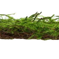 Декоративная панель, 90 × 40 см, «Папоротник», Greengo Декоративная панель, 90 × 40 см, «Папоротник», Greengo