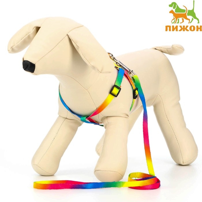 Комплект Комплект "Радуга", капрон, поводок 120 х 1 см, ОГ 24-34 см, разноцветный