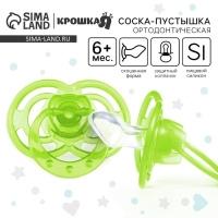 Соска - пустышка силиконовая ортодонтическая &laquo;Бантик&raquo;, от 6 мес., с колпачком, цвет зеленый