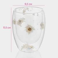 Набор стаканов с двойными стенками &laquo;Сухоцвет&raquo;, 350 мл, 9,5х11,5 см, 2 шт
