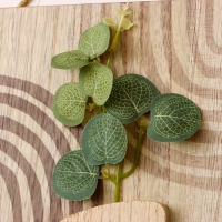 Крючки декоративные дерево "Абстракция. Прямоугольник. Цветок" 1,5х19,5х23,5 см Крючки декоративные дерево "Абстракция. Прямоугольник. Цветок" 1,5х19,5х23,5 см