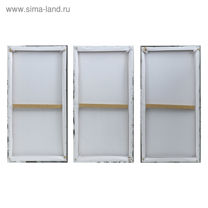 Картина модульная на подрамнике "Воздушный цветок" 99x65 см. (3-33х65)