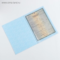 Папка для свидетельства о рождении для мальчика &laquo;Кошечка&raquo;, А4