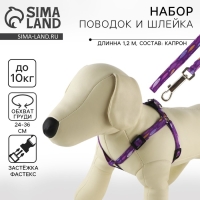 Комплект &laquo;Рыбки&raquo;, шлейка 24-36 см, поводок 120х1 см