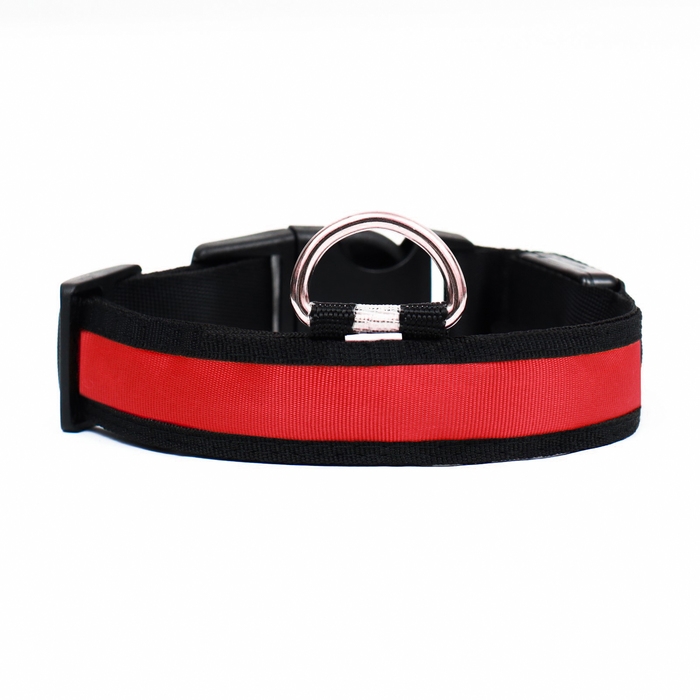 Ошейник с подсветкой Flash 3 режима свечения, размер XL, ОШ 52-60 х 2,5 см, красный