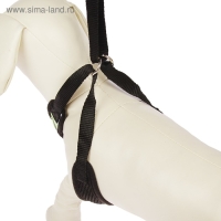 Шлейка регулируемая дышащая, светоотражающая, размер L, (ОГ 44-64 см, ОШ 40-60 см), чёрная