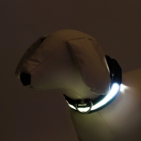 Ошейник с подсветкой, зарядка от USB, размер S, ОШ 34-41 см, 3 режима, черный Ошейник с подсветкой, зарядка от USB, размер S, ОШ 34-41 см, 3 режима, черный