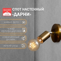 Спот "Дарни" Е27 40Вт бронза 10х10х10см Спот "Дарни" Е27 40Вт бронза 10х10х10см