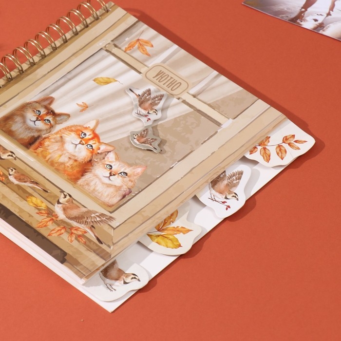 Фотоальбом на спирали 20 листов Фотоальбом на спирали 20 листов "Котики в окне" объёмный элемент + 4 вкладки 24х24 см