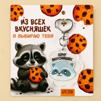 Брелок для ключей акриловый «Енот», 5 х 4,9 см Брелок для ключей акриловый «Енот», 5 х 4,9 см