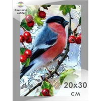 Алмазная мозаика &laquo;Зимняя птичка&raquo;, 20 &times; 30 см
