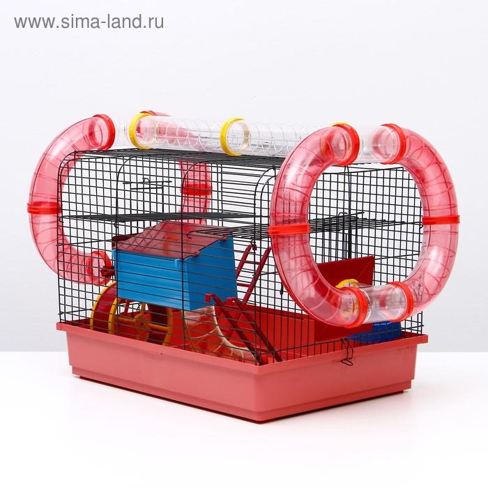 Клетка для грызунов Клетка для грызунов "Хома 4", 55 x 37 x 42 см, микс цветов