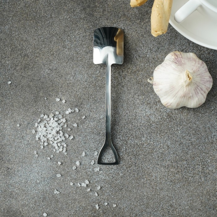 Ложка десертная из нержавеющей стали Magistro &laquo;Лопата&raquo;, длина 15,5 см, форма прямоугольная, цвет серебряный