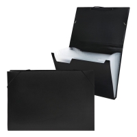 Папка картотека А4, Calligrata, 13 отделений, пластиковая, 700 мкм, чёрная Папка картотека А4, Calligrata, 13 отделений, пластиковая, 700 мкм, чёрная