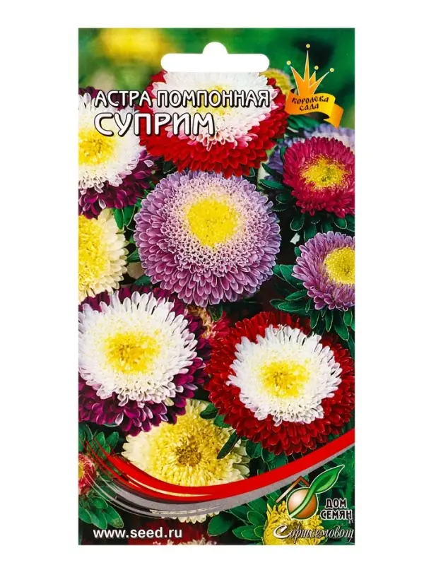 Набор Астра Суприм смесь, 110 семян (358112174) ОЗ