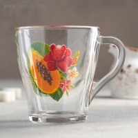 Кружка стеклянная &laquo;Тропические фрукты&raquo;, 250 мл