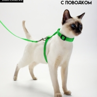 Комплект для кошек, ширина 1,5 см, ОШ 16,5-27 см, ОГ 21-35 см, поводок 120 см, зелёный