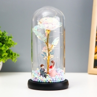 Ночник колба "Влюбленная пара" LED от батареек 3хААА 11х11х22 см RISALUX Ночник колба "Влюбленная пара" LED от батареек 3хААА 11х11х22 см RISALUX