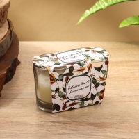 Набор свечей "BALLY BAND" 60 гр, цитронелла+лемонграсс