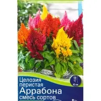 Семена цветов Целозия перистая Аррабона, смесь сортов  Спецсерия Hem Genetics, Ц/П,7 шт.