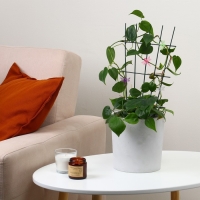 Шпалера, 40 &times; 20 &times; 0.3 см, металл, зелёная, &laquo;Веерная&raquo;