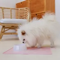 Миска пластиковая 300 мл, белая