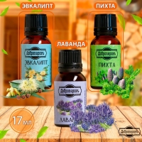 Эфирное масло лаванда, эвкалипт, пихта, набор 3 шт по 17мл + полочка для масел "Добропаровъ"