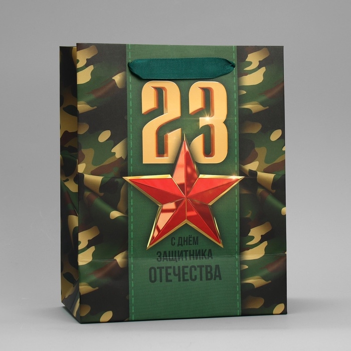 Пакет подарочный ламинированный вертикальный, упаковка, &laquo;С 23 февраля&raquo;, MS 18 х 23 х 10 см