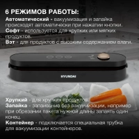 Вакуумный упаковщик HY-VA3003