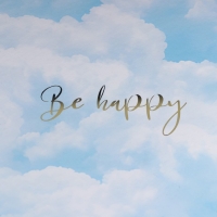 Набор шляпных коробок для цветов 4 в 1, упаковка подарочная, &laquo;Облака&raquo;, 14 х 13 см - 20 х 17.5 см