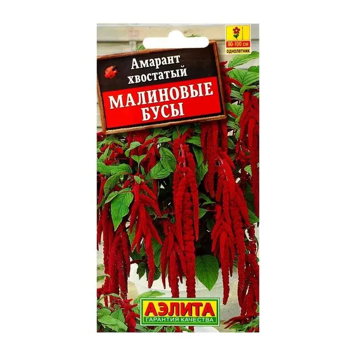 Семена цветов Амарант "Малиновые бусы", О, 0,2 г