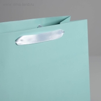 Пакет подарочный, упаковка, &laquo;Мятный&raquo;, 26 х 32 х 12 см