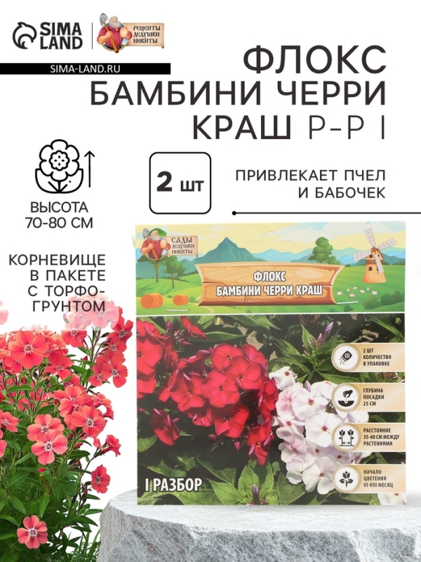 Флокс &laquo;Бамбини Черри Краш&raquo; корневище в пакете с торфогрунтом, р-р I, 2 шт.