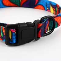 Ошейник &laquo;Невозможно слиться с улицей&raquo;, застёжка - фастекс, 2.5 см, 40-55 см