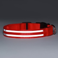 Ошейник с подсветкой Двойная полоса размер XL, ОШ 52-60 х 2,5 см, 3 режима свечения красный 97722 Ошейник с подсветкой Двойная полоса размер XL, ОШ 52-60 х 2,5 см, 3 режима свечения красный 97722