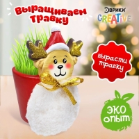 Новый год! Набор для опытов &laquo;Выращиваем травку&raquo;, олень