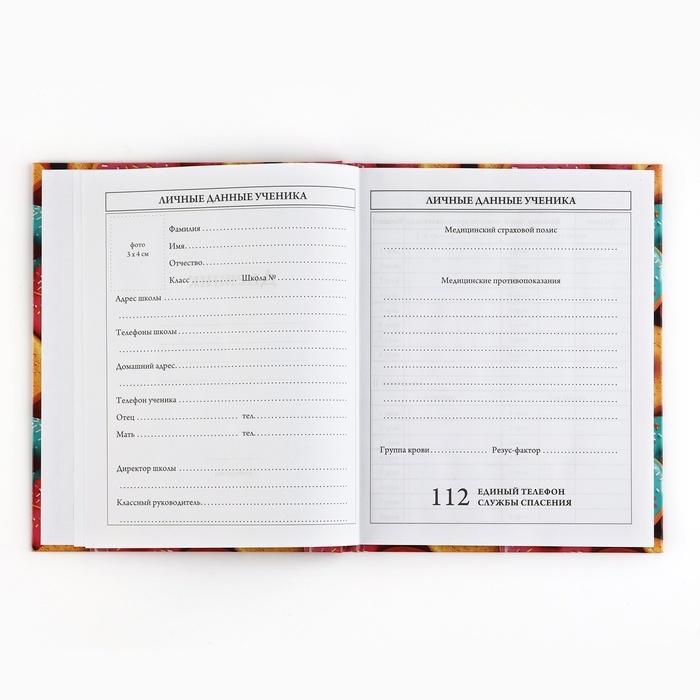 Дневник школьный 5-11 класс, в твердой обложке, 48 л. &laquo;Пончики&raquo;