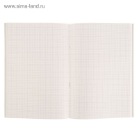 Книга учёта А4, 96 листов, клетка, обложка картон, офсет Книга учёта А4, 96 листов, клетка, обложка картон, офсет