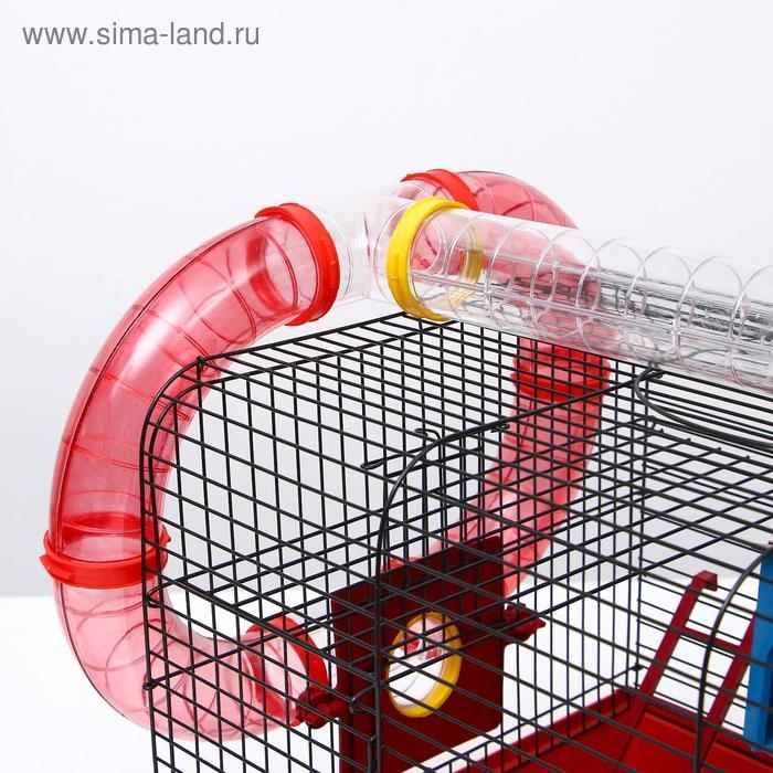 Клетка для грызунов Клетка для грызунов "Хома 4", 55 x 37 x 42 см, микс цветов