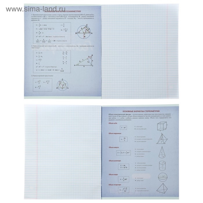 Комплект предметных тетрадей 48 листов &laquo;Неон&raquo;, 10 предметов со справочным материалом, обложка мелованный картон, УФ-лак, блок офсет