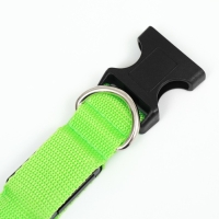 Ошейник с подсветкой Двойная полоса размер S, ОШ 35-43 х 2,5 см, 3 режима свечения зелёный