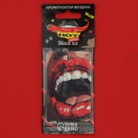 Ароматизатор подвесной Cartage Hot Series, набор 6 шт Ароматизатор подвесной Cartage Hot Series, набор 6 шт