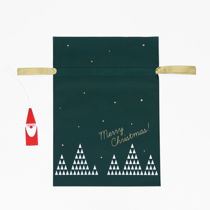 Новый год. Мешок подарочный Новый год. Мешок подарочный "Волшебный лес" зелёный, 30 х 45 см