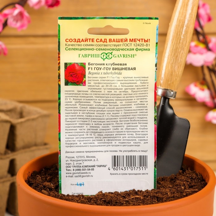 Семена комнатных цветов Бегония "Гоу-гоу", ц/п,  вишневая, F1, 4 шт.