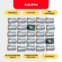 Мемо &laquo;Экскурсия по миру&raquo;