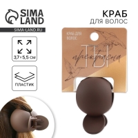 Краб для волос &laquo;Ты прекрасна&raquo;, 3,7 х 5,5 см.