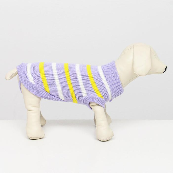 Свитер Свитер "Полоски", 2XL (ДС 41, ОШ 41, ОГ 36-60 см)